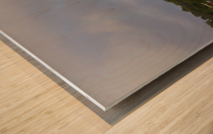 The Splendor of St. Lucia Finale of an Intense Rainbow Wood print