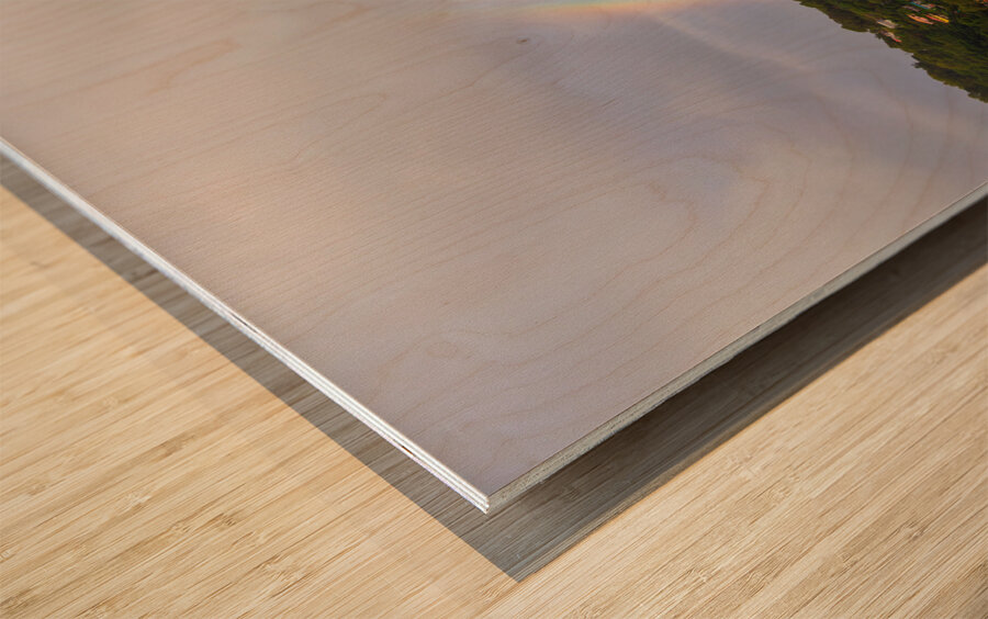 Rainbow - Marella Voyager Cruise Ship - St Lucia Wood print