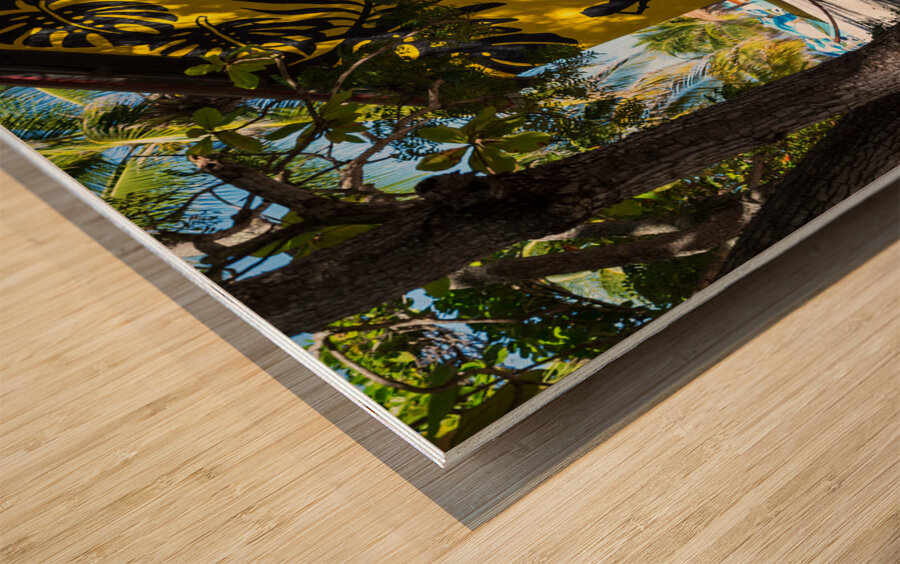 Labadee Haiti Island Vibes Wood print