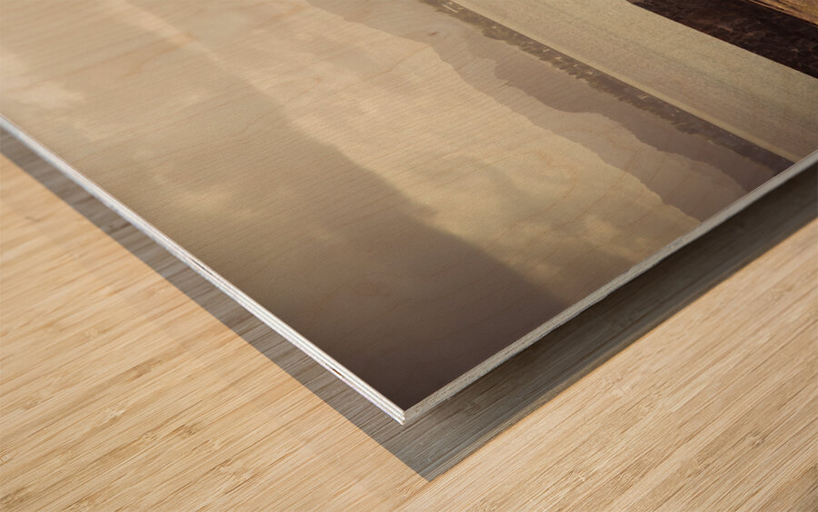 The Allure of Puerto Rico Old San Juan Wood print