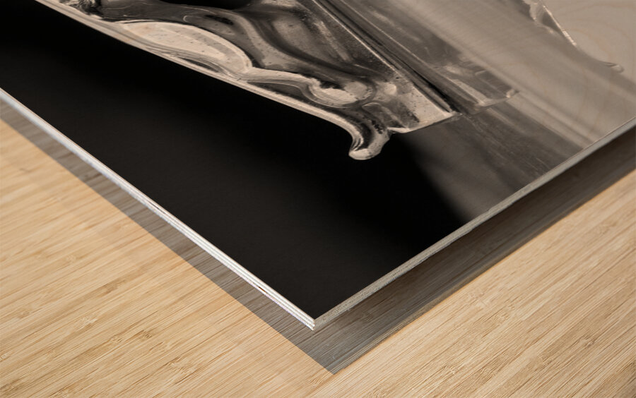 Jaguar Car Hood Ornament Reflection BW Impression sur bois