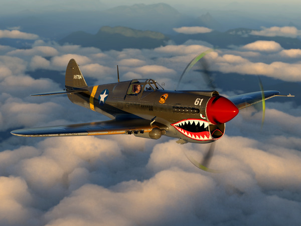 Curtiss P-40 Warhawk Color Digital Download