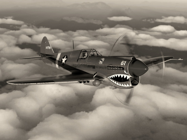 Curtiss P-40 Warhawk BW Digital Download