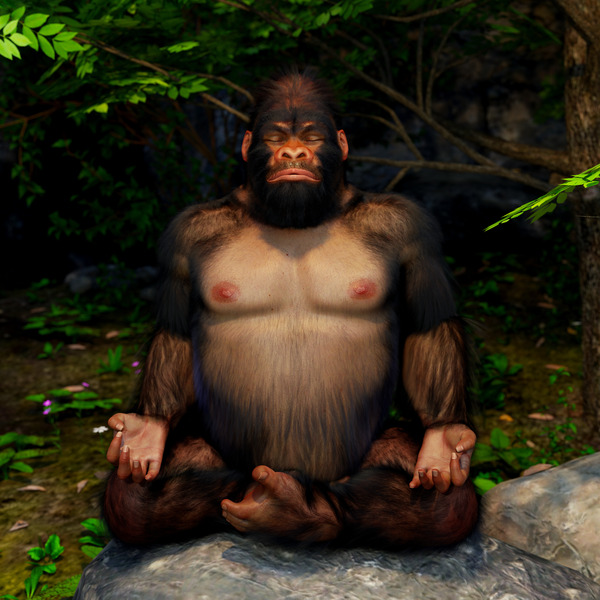 Yo-Gorilla - Transitioning through Meditation Digital Download