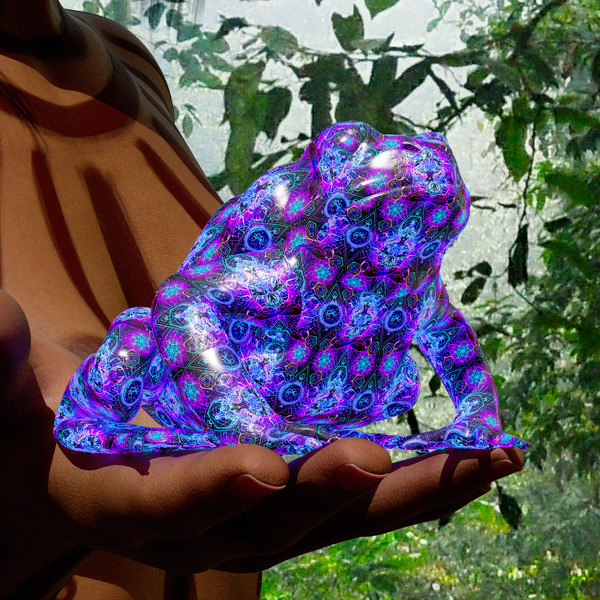 Bufo Alvarius - Sonoran Desert Toad Digital Download