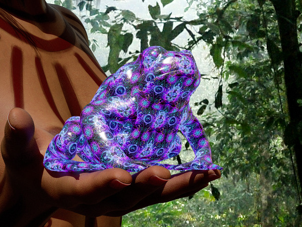 Bufo Alvarius - Sonoran Desert Toad Téléchargement Numérique