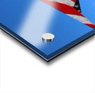 Lockheed F-117 Nighthawk Acrylic print