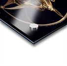 Interstellar Spaceship Eden  Impression Acrylique