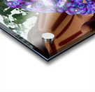 Bufo Alvarius - Sonoran Desert Toad Impression Acrylique