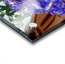 Bufo Alvarius - Sonoran Desert Toad Acrylic print