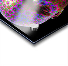 DMT Ayahuasca Experience - Black Background Acrylic print