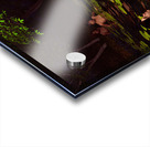 Hylas and the Nymphs Acrylic print