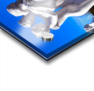 The Tree Graces - Grace Beauty Charm - Aglaia Euphrosyne and Thalia Acrylic print