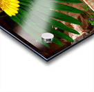 Ancient Egyptian Goddess Isis  Acrylic print