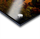 The God Pan with Nymphs Dancing in the Forest Acrylic print