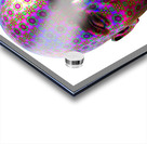 DMT Ayahuasca Experience Acrylic print