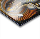 Passion with Purpose Acrylic print