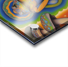 Entheogens Bufo Peyote Ayahuasca Acrylic print