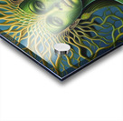 In Harmony With Nature 2 Acrylic print