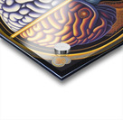 Dreams Acrylic print