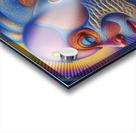 Beholding Beauty Acrylic print