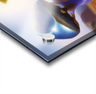 Persistence and Endurance Acrylic print