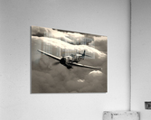 Messerschmitt Bf 109 BW Acrylic Print