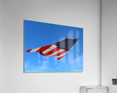 Lockheed F-117 Nighthawk Acrylic Print