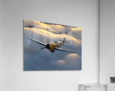 Messerschmitt Bf 109 Acrylic Print