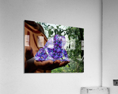 Bufo Alvarius - Sonoran Desert Toad Impression acrylique