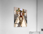 Hindu Goddess Durga Acrylic Print