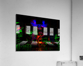 Ayahuasca - Masculine and Feminine Energy Enhanced Acrylic Print