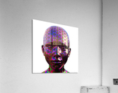 DMT Ayahuasca Experience Acrylic Print