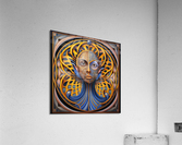 Adaptability to Change 3 Acrylic Print