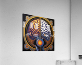 Dreams Acrylic Print