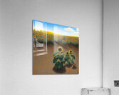 middleschool14 Acrylic Print