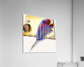 middleschool32 Acrylic Print