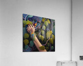 middleschool35 Acrylic Print