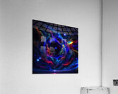 middleschool41 Acrylic Print