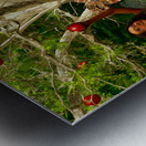 Adam and Eve in the garden of Eden - Vasikela Kung Tribe 108MP Metal print