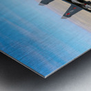 Sukhoi Su-47 Berkut Metal print