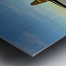 Boeing B-17 Flying Fortress Bomb Drop 2 color Metal print