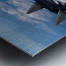 Sukhoi Su-47 Berkut SUKOI Metal print