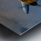 Messerschmitt Bf 109 Metal print