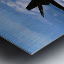 Lockheed F-117 Nighthawk Metal print