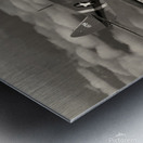 Curtiss P-40 Warhawk BW Metal print