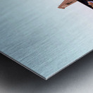 General Dynamics F-16 Fighting Falcon Metal print