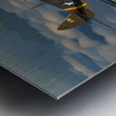 Curtiss P-40 Warhawk Color Metal print