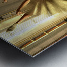 Ballet Practice Paris - Degas Little Dancer Tribute  Impression metal