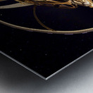 Interstellar Spaceship Eden  Impression metal